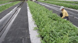 これからは伸び伸びと