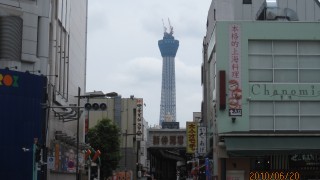 こちらも順調に