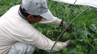 最終メンバー決定！