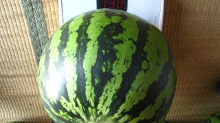 今シーズンのチャンピオン