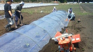 なかなか進まず