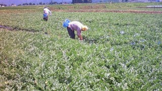 もうすぐ終わり