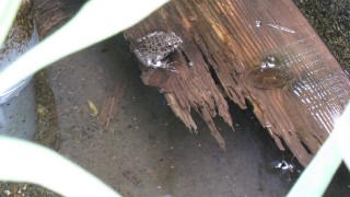 ?・・・？・・・！！？