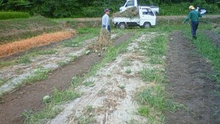 さみしいつるったぐり