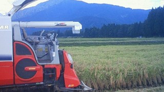 今日で終わり。