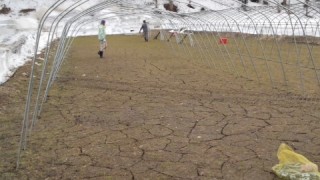 始まりました。