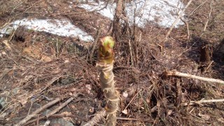 時期になりました