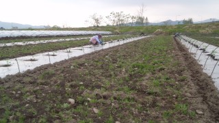 やっと終わりました