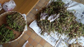 これからが大変なんです。