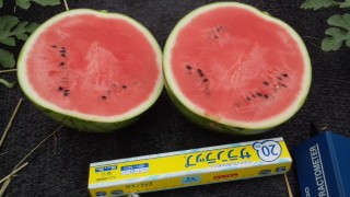 祭ばやしの収穫始まりました！