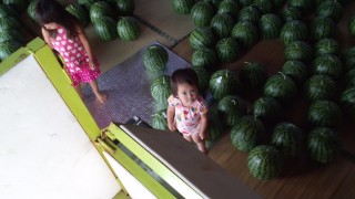 今日で収穫が終わりました。