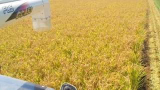 今日から始まりました。