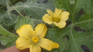 始まりました。