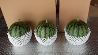 お待たせしました！