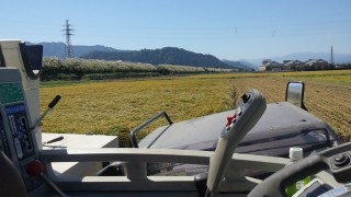 始まりました！