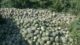 なりすぎです！