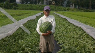 祭ばやしの収穫始まりました！
