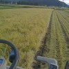 稲刈り始めました。