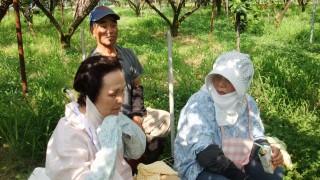 梨畑で休憩中