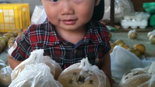 最近の梨畑の様子　from片山