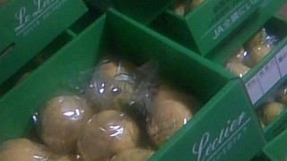 ル・レクチェ出荷まであと少しです