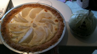 最近の梨畑の様子　from片山