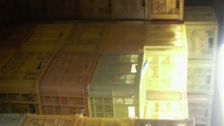 最近の梨畑の様子　from片山