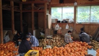 新高と戦ってます！