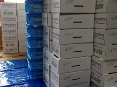 新潟特産ルレクチェいよいよ本番