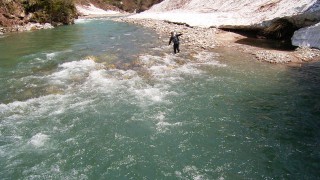 おっとっと、、、、