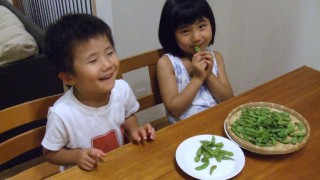 安心安全な茶豆