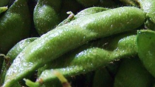 「茶豆」の名前の由来１