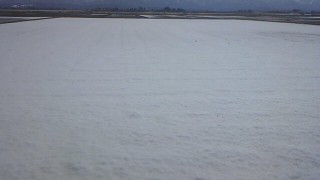 まだこんな田んぼもあります