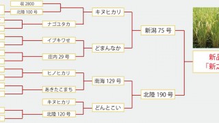 その名も 「新之助」