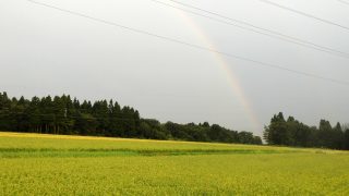 夏の終わりの虹