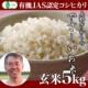 【令和3年度　新米　】新潟産 コシヒカリ 上野さんちのやさしいお米 玄米 5kg