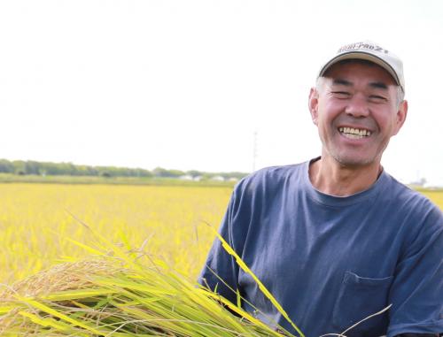 【2022年度産】新潟産ササニシキ 上野さんちのやさしいお米 玄米 5kg