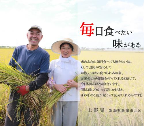 新潟産 コシヒカリ 上野さんちのやさしいお米 玄米 5kg