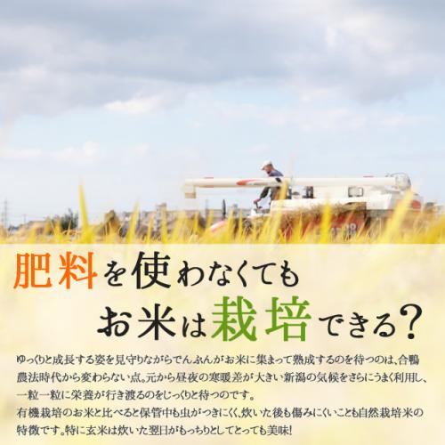 【2022年度産予約開始!】新潟産 コシヒカリ 上野さんちのやさしいお米 玄米 5kg