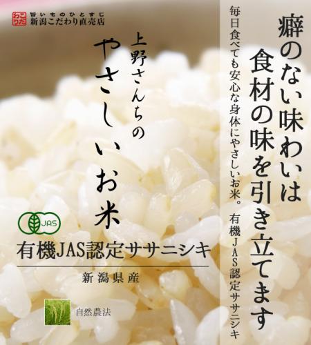 【2022年度産】新潟産ササニシキ 上野さんちのやさしいお米 玄米 5kg