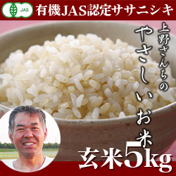 令和3年度　新米　新潟産ササニシキ 上野さんちのやさしいお米 玄米 5kg