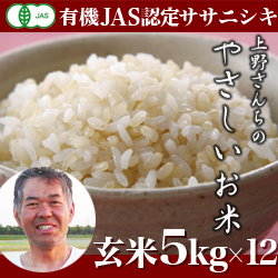 令和3年度産米　定期便　新潟産 ササニシキ 上野さんちのやさしいお米 玄米 60kg