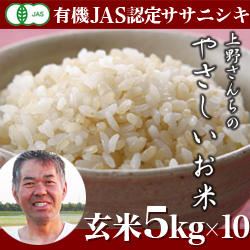 　定期便　新潟産 ササニシキ 上野さんちのやさしいお米 玄米 50kg