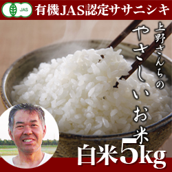 【2023年度産】　新潟産 ササニシキ 上野さんちのやさしいお米 白米 5kg