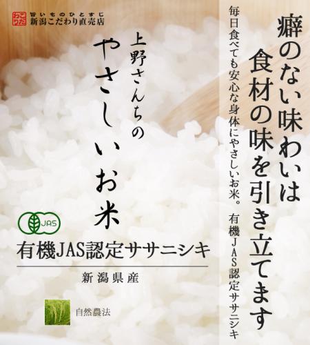 定期便　新潟産 ササニシキ 上野さんちのやさしいお米 25kg