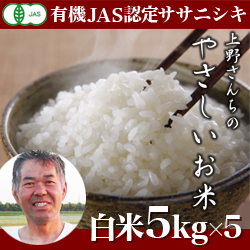 定期便　新潟産 ササニシキ 上野さんちのやさしいお米 25kg