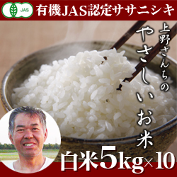 　定期便　新潟産 ササニシキ 上野さんちのやさしいお米 50kg
