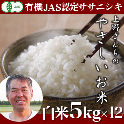令和3年度　定期便　新潟産 ササニシキ 上野さんちのやさしいお米　白米　 60kg