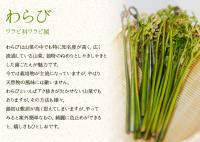 【天然山菜】わらび 500g(採取者・笑顔の里)