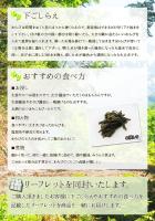【2024年予約販売】天然山菜わらび 500g(採取者・笑顔の里)